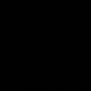 Meet your Posher, Xavier